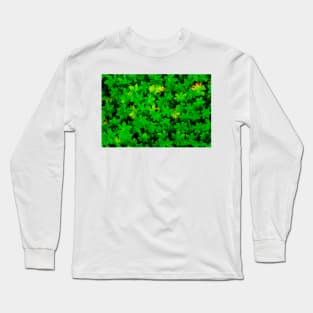 Geraniums Long Sleeve T-Shirt